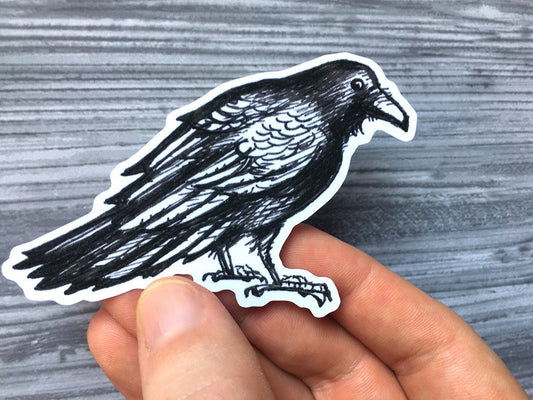 The Raven Sticker - Water Resistant Decal